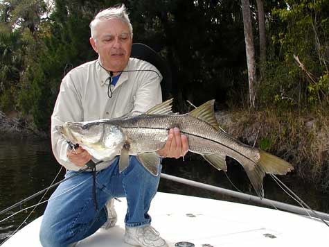 Snook