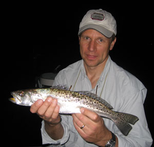 Trout