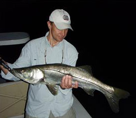 Snook at Night