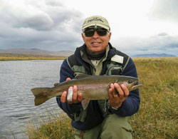 Trout